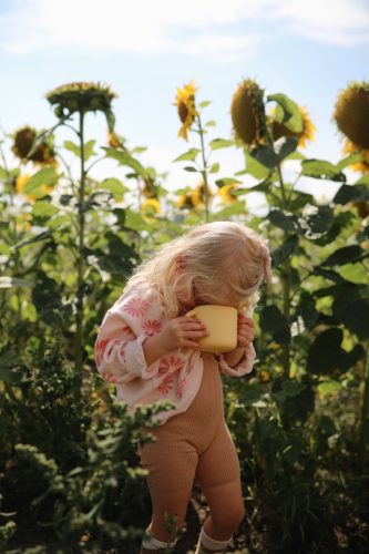 Mushie Nasitartó (Nárcisz) Mushie