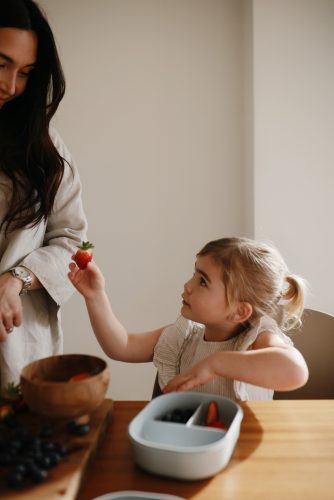 Mushie Uzsonnás doboz (Delfin) Mushie