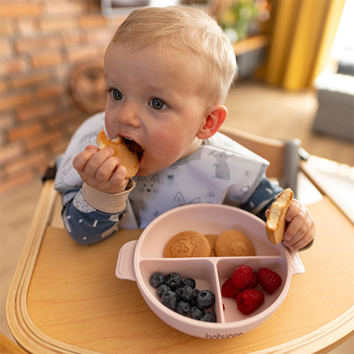 BabyOno babatányér - tapadó aljú, fedeles, 3 rekeszes rózsaszín 1661/02