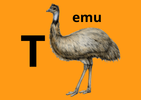 Temu - avagy kínai hozzátáplálás